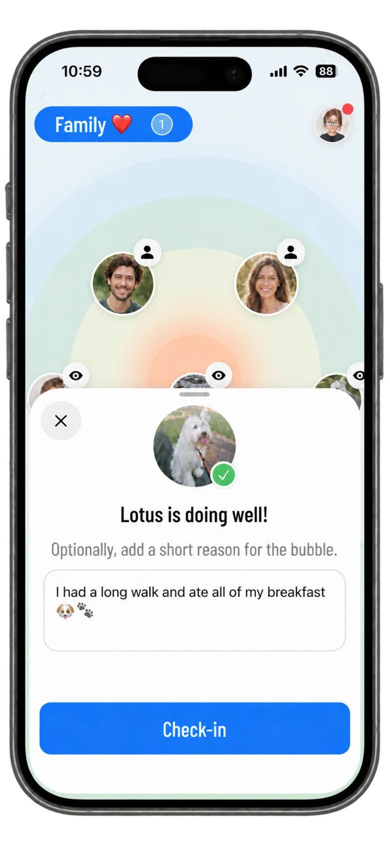 A Knuff check-in for Lotus the dog after a long walk and breakfast